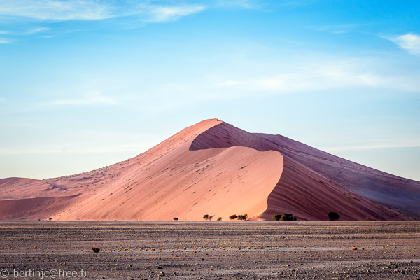 115_5000868-Sossusvlei   -   19 février 2017